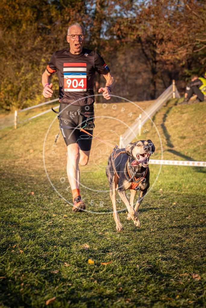 CaniXpix_0L8A1402 | Hundefotografie, Tierfotograf, Pfotenfotografie, Fotoshooting Hund, Hunde Portrait, Hundesport, Hundeportraits, Heideshooting, Hunde, Sportfotograf, Hundefotograf, Turnierhundsport, THS,  - Realisiert mit Pictrs.com