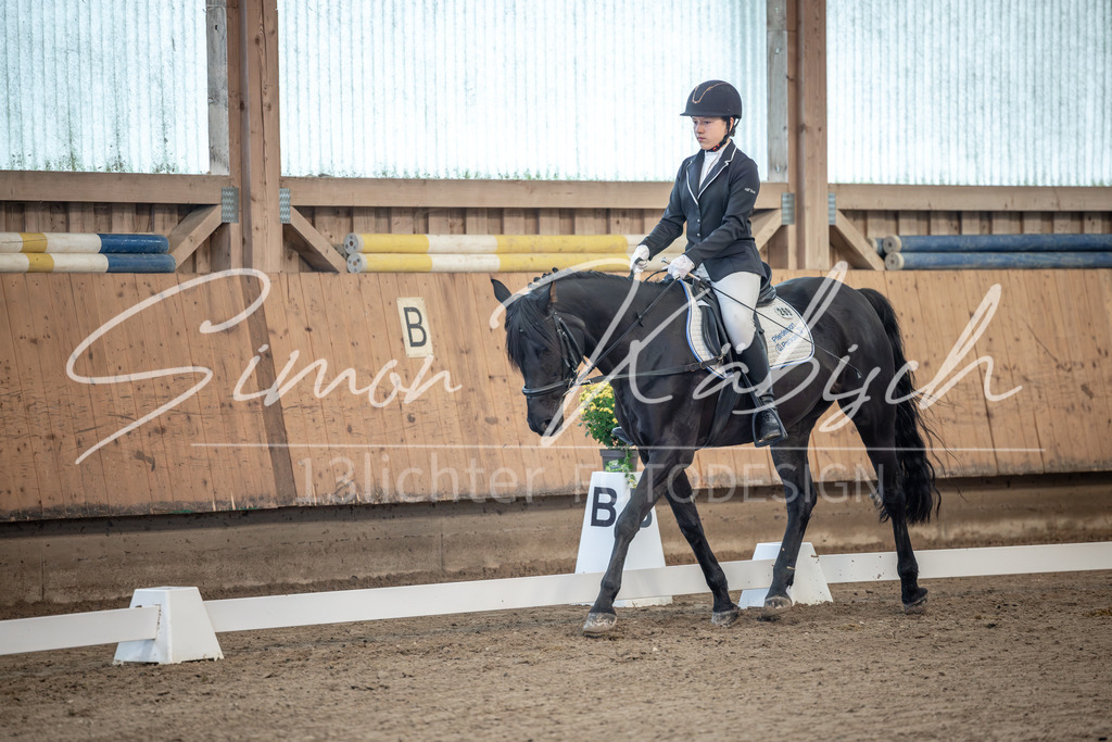 20251011-_3LI7542 | Tierfotografie Pferde, Hunde, Katzen, Haustiere.
Turnierfotografie Reitturniere, Reiten, Springreiten, Dressur in Hanau, dem Main-Kinzig-Kreis und dem Rhein-Main- Gebiet um Frankfurt