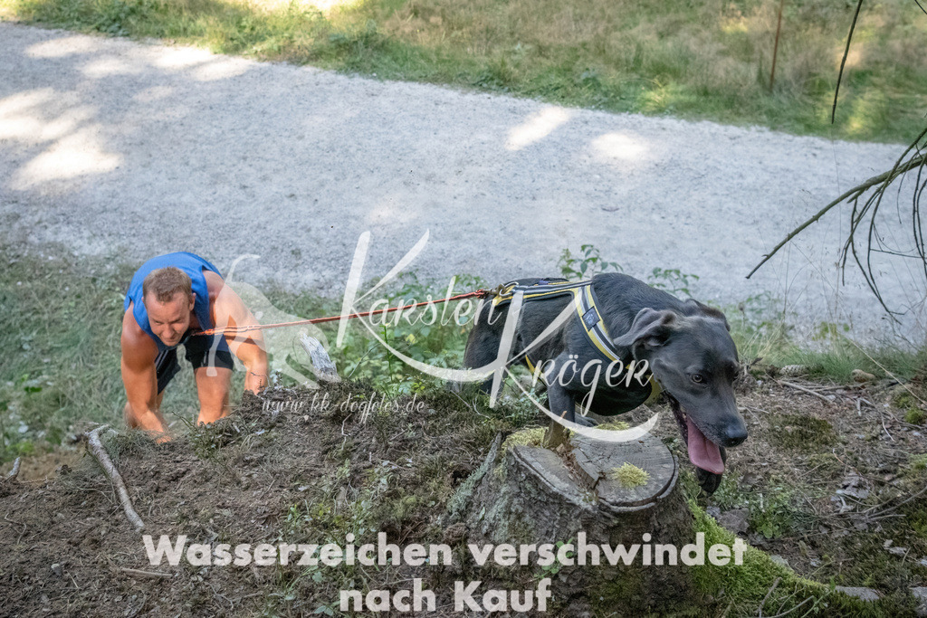 1204_ZZ93271 | kk-dogfotos