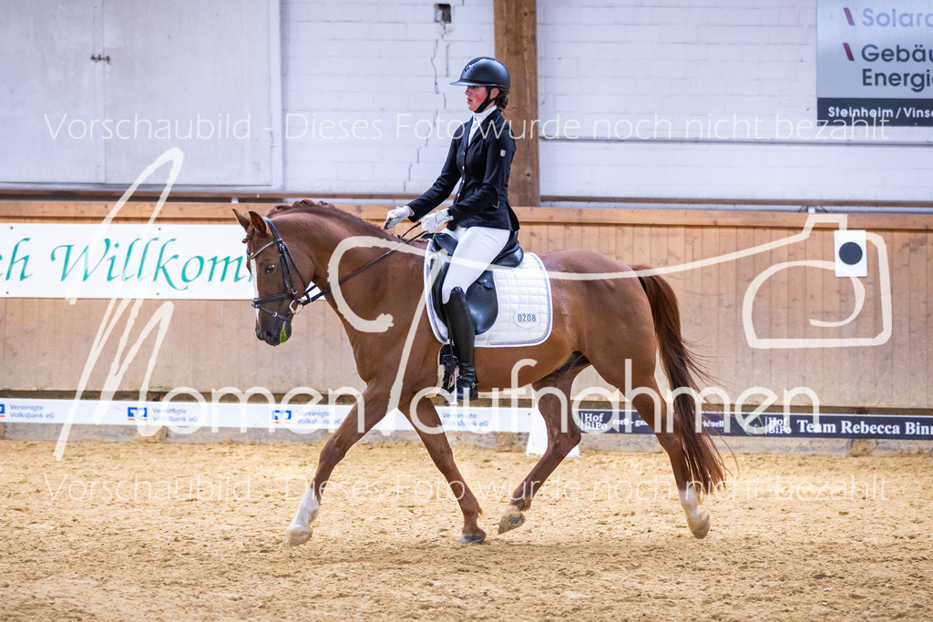 Sth-A-Dre-2St-202 | MomenTaufnahmen Pferdesportfotos