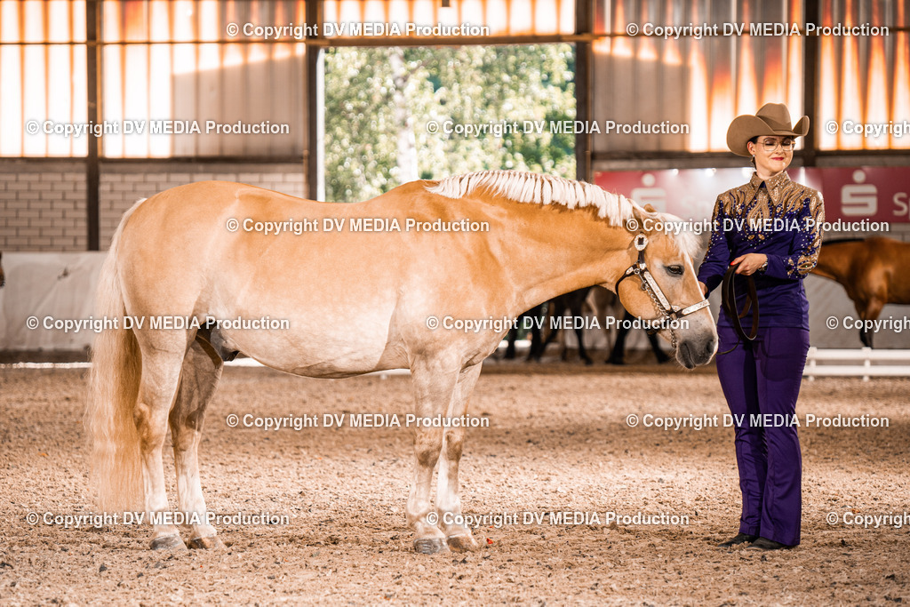 ZH100046 | dv-media-shop - Realisiert mit Pictrs.com