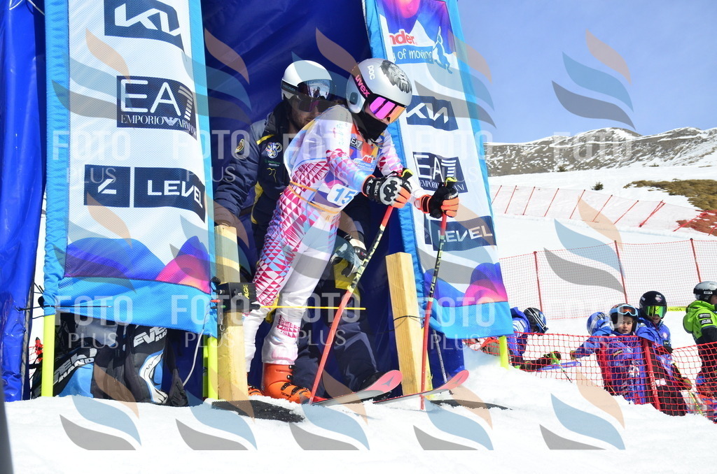 _ELE1060 | holidayphoto