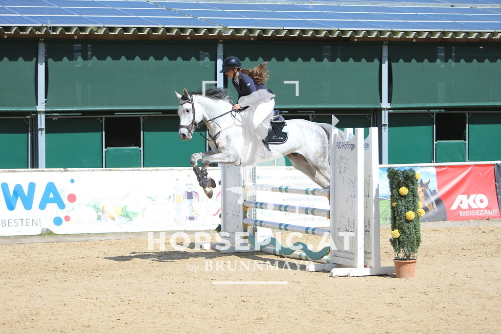 DL2Q9790 | Willkommen bei Brunnmayr - Design & Fotografie – Ihrem Spezialisten für Reitturniere und Pferdeveranstaltungen in Oberösterreich, Salzburg und Bayern! Seit über 17 Jahren sind wir leidenschaftlich dabei.