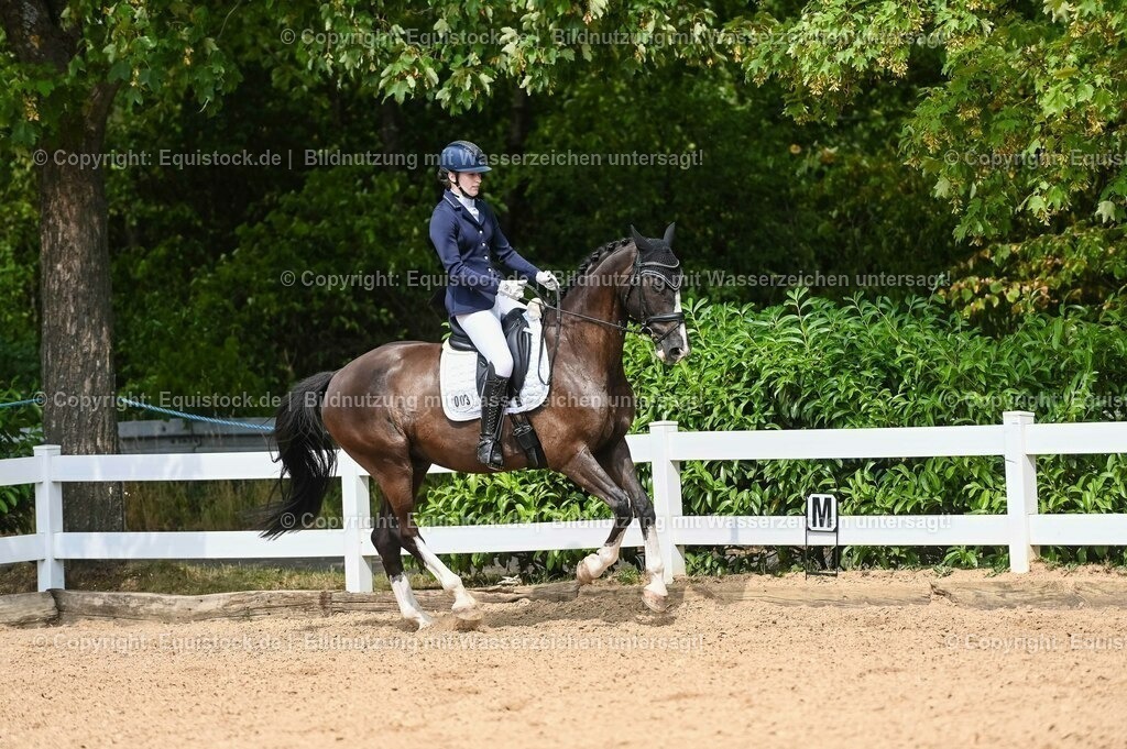 20230715_02_Dressurreiterprüfung Kl.L_0287 | equistock