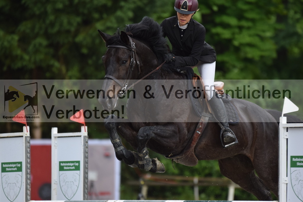 DSC_0060 | equestrian-live-com