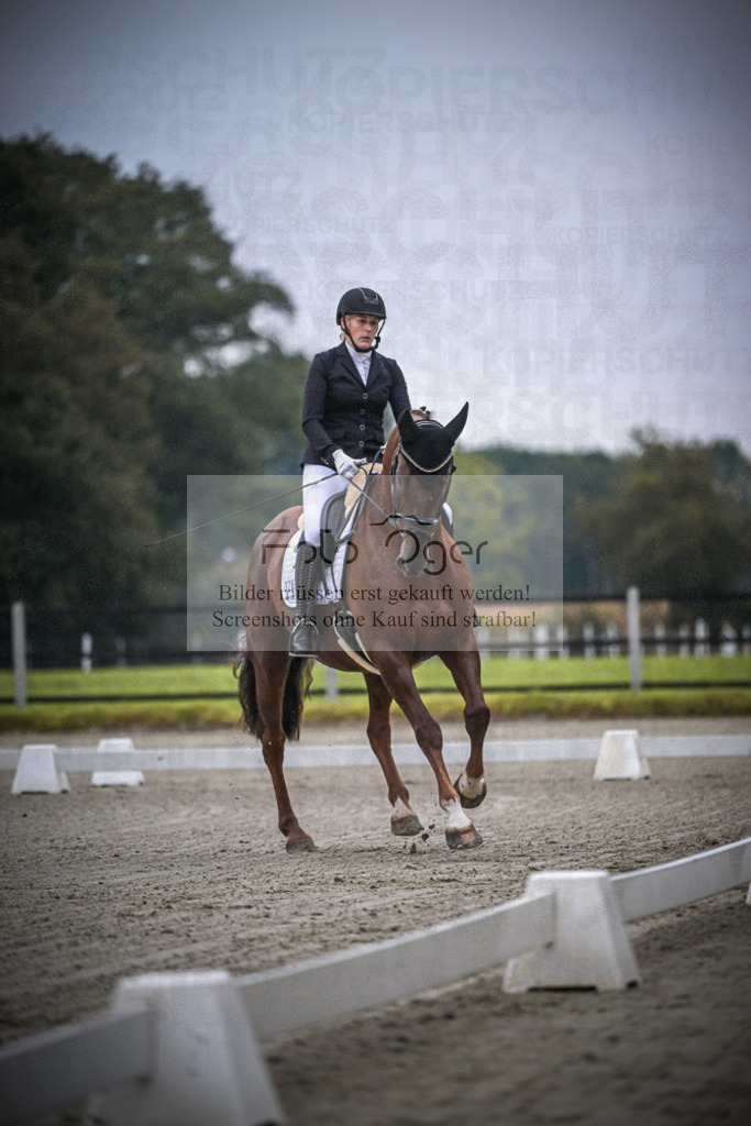 DOS_0164 | Entdecke hochwertige Reitturnierfotos von Foto Oger. Professionell, emotional und authentisch – jetzt Lieblingsmomente im Shop bestellen.Deutschlandweite Turnierfotografie. - Realisiert mit Pictrs.com