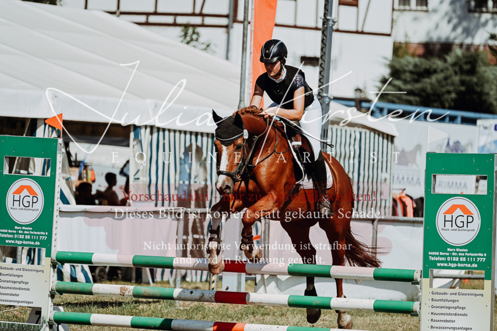 DSC_9698 | Pferde- und Turnierfotografie in Westsachsen. Pferdeportraits, Auftragszeichnungen und intuitive Kunst.