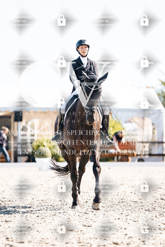 CK908921 | Turnierfotografie Pferdefotografie Trier Rheinland-Pfalz Pferdesport Reitsport Tierfotografie Sportfotografie Pferdevideo Pferdevideografie Equestrianvideography equestrianphotography  - Realisiert mit Pictrs.com