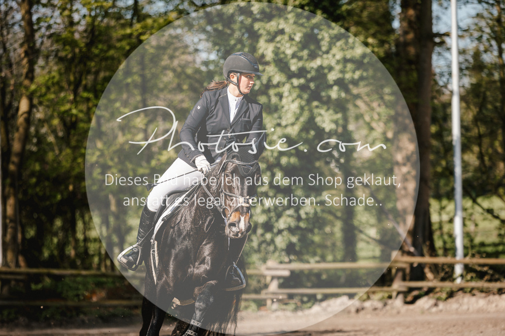 3I6A3701 | Stimmungsvolle Portraits und Reitsportfotografie im Ruhrgebiet und im Münsterland.

Pferdefotografie, Hundefotografie, Tierfotografie, Reportagen, Portraits von Tier und Mensch, Turnierfotografie in Bochum, Recklinghausen, Marl, Haltern am See, Dülmen.. - Realisiert mit Pictrs.com