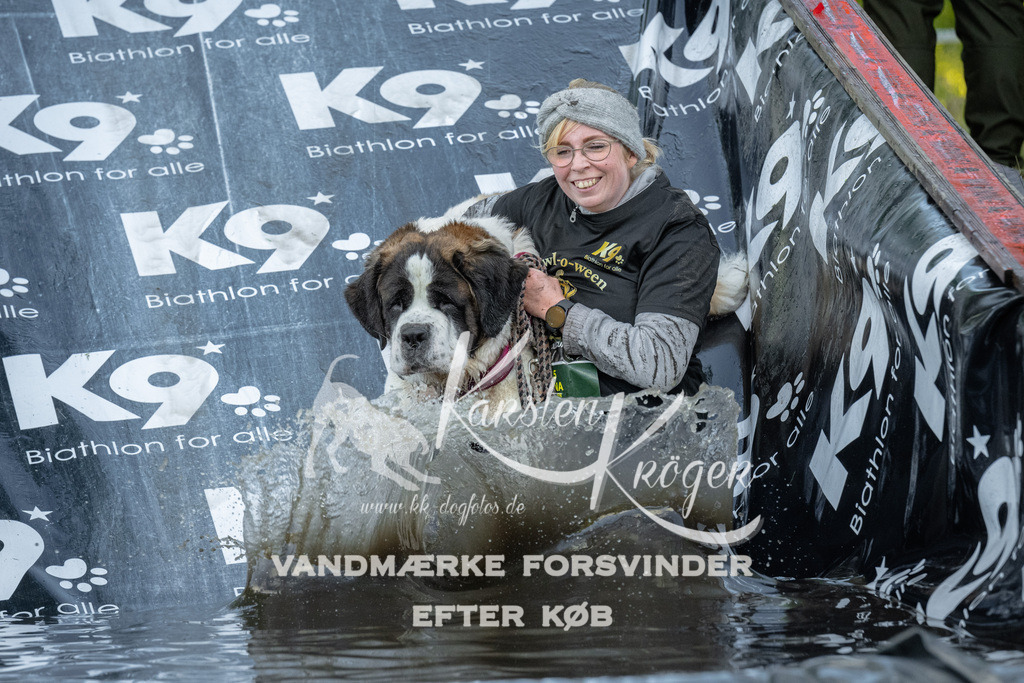 1600_ZZ91803 | kk-dogfotos