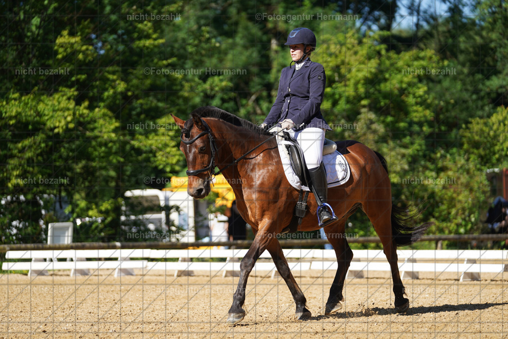 20240706-FAH04546 | Grafing Turnierfotos, Reitverein Ebersberg, Turnierfotografen Bayern, reitsportbilder, Pferdefotograf, reitsportfotograf, Sportbilder, Reitsportfotografie, Fotoagentur Herrmann, Turnierfotograf