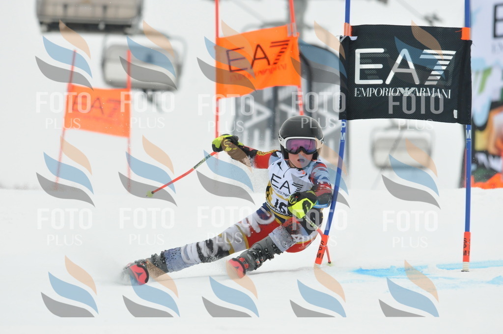 DSC_8554 | holidayphoto