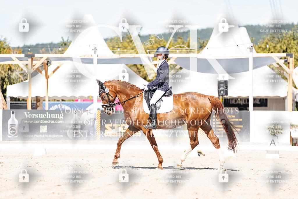 CK909312 | Turnierfotografie Pferdefotografie Trier Rheinland-Pfalz Pferdesport Reitsport Tierfotografie Sportfotografie Pferdevideo Pferdevideografie Equestrianvideography equestrianphotography  - Realisiert mit Pictrs.com