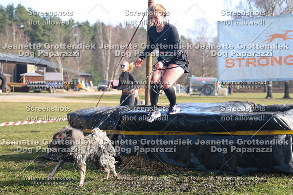 Dog Paparazzi - Strongdog North Mrz26-1207 | Dog Paparazzi Jeanette Grottendiek Fotografie & Videografie - Realisiert mit Pictrs.com
