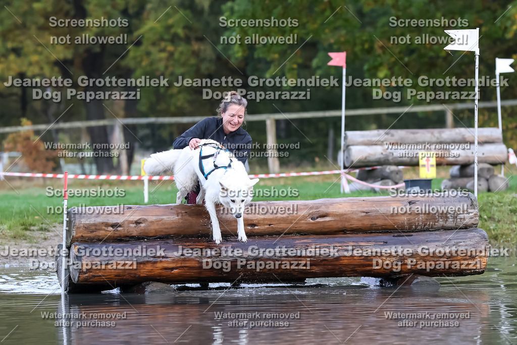 Dog Paparazzi - Strongdog 10-25-6639 | Dog Paparazzi Jeanette Grottendiek Fotografie & Videografie - Realisiert mit Pictrs.com