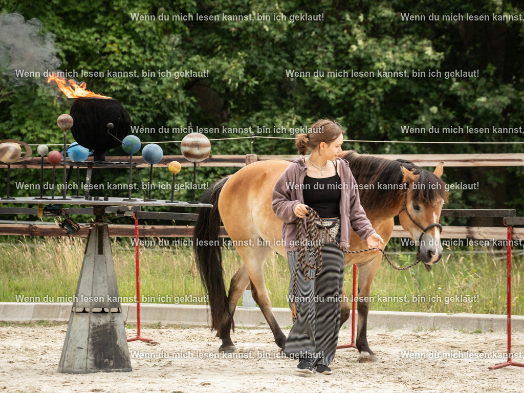 598A6622 | photographylinaismer - Realisiert mit Pictrs.com