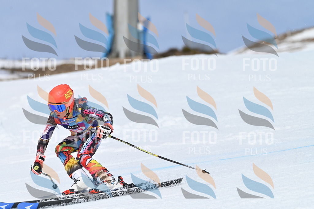 BGV_1491 | holidayphoto