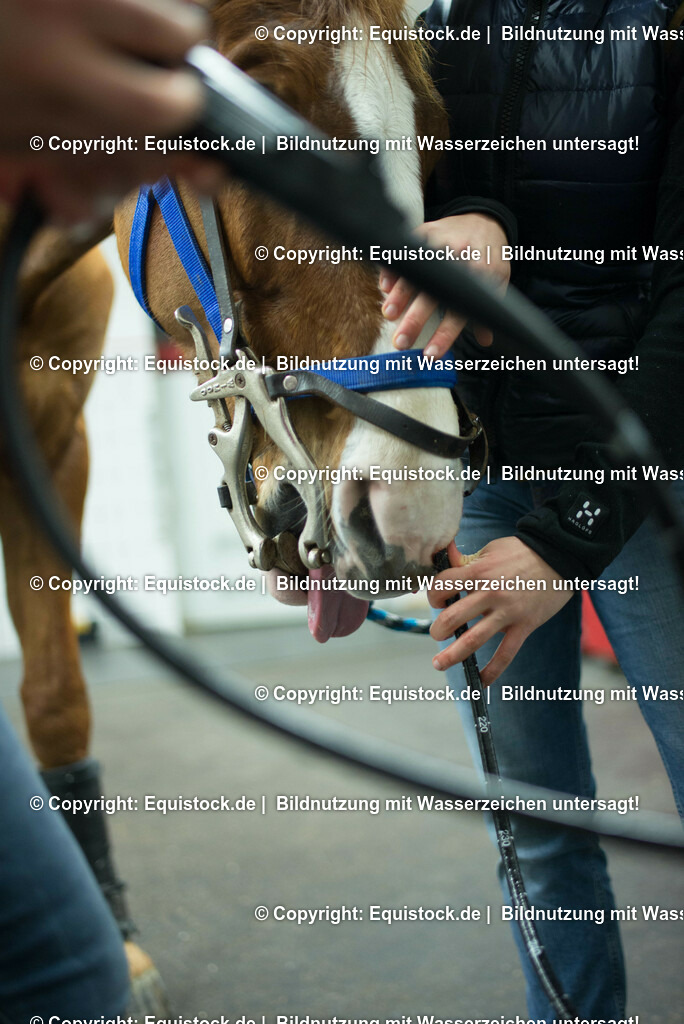 20170113_Endoskopie_0026 | Foto: Thomas Hartig