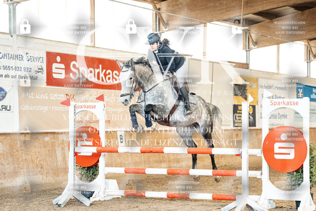 CK904898 | Turnierfotografie Pferdefotografie Trier Rheinland-Pfalz Pferdesport Reitsport Tierfotografie Sportfotografie Pferdevideo Pferdevideografie Equestrianvideography equestrianphotography  - Realisiert mit Pictrs.com