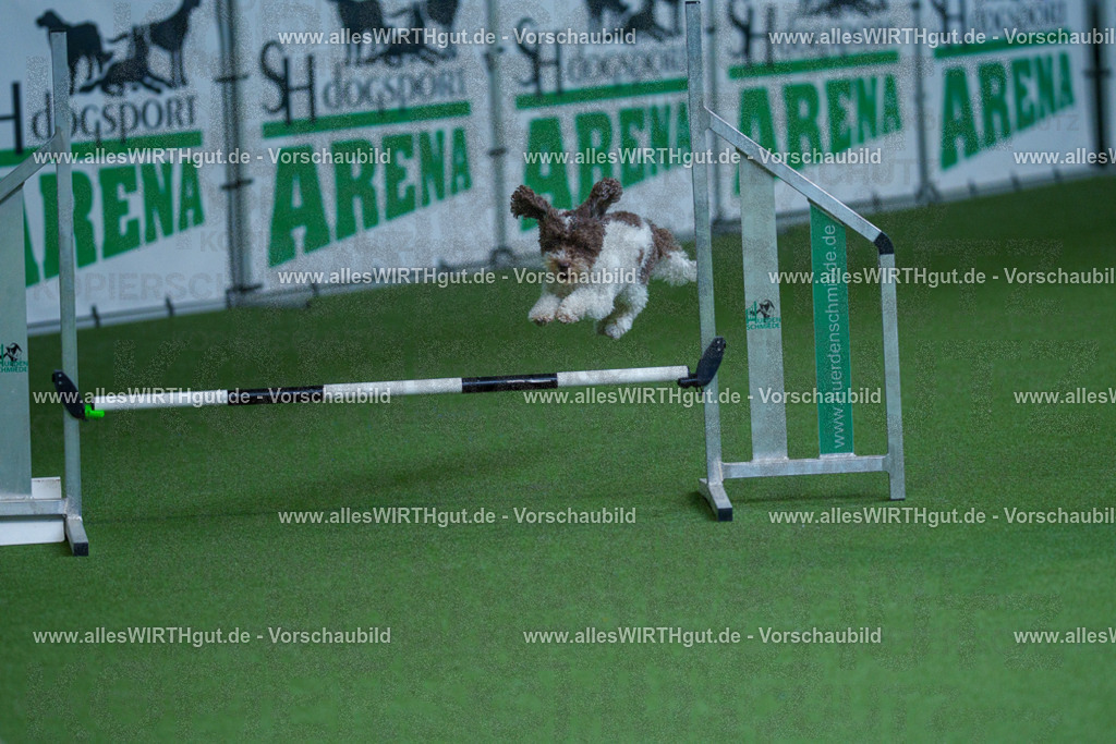 @allesWIRTHgut_Tierfotografie - www.allesWIRTHgut.de - 2604261332-7R502079 | Professionelle Tierfotografie in Mönchengladbach von Daniel Wirth (allesWIRTHgut). Liebevolle & natürliche Bilder von Hunden & Katzen für unvergessliche Erinnerungen.