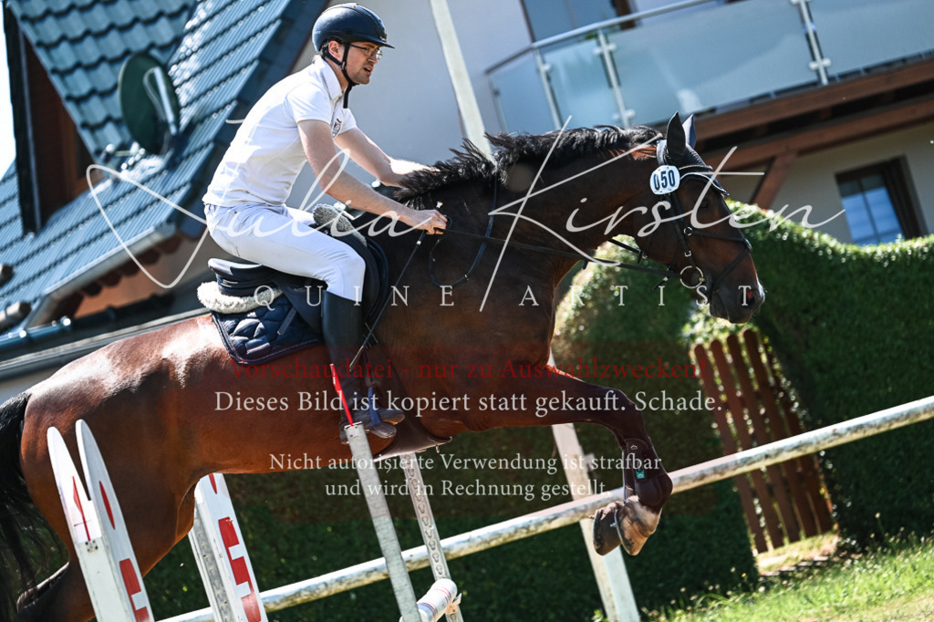 DSC_0473 | Pferde- und Turnierfotografie in Westsachsen. Pferdeportraits, Auftragszeichnungen und intuitive Kunst.