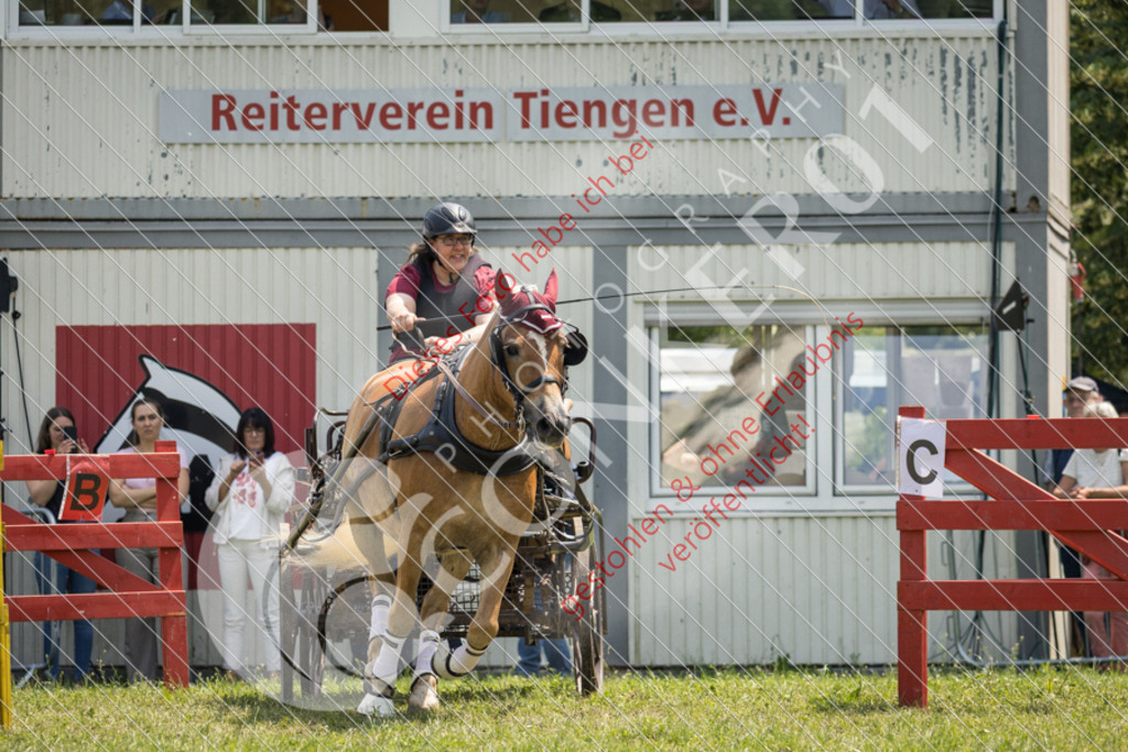 IMG_8493 | Sport-, Event- und Tierfotos in Profiqualität. Einfach auswählen, bestellen und herunterladen. Dein Moment – perfekt festgehalten.