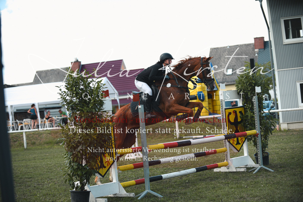 DSC_6485 | Pferde- und Turnierfotografie in Westsachsen. Pferdeportraits, Auftragszeichnungen und intuitive Kunst.