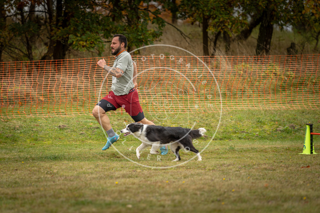 Pfotenfotografie_DV3A5767 | Hundefotografie, Tierfotograf, Pfotenfotografie, Fotoshooting Hund, Hunde Portrait, Hundesport, Hundeportraits, Heideshooting, Hunde, Sportfotograf, Hundefotograf, Turnierhundsport, THS,  - Realisiert mit Pictrs.com