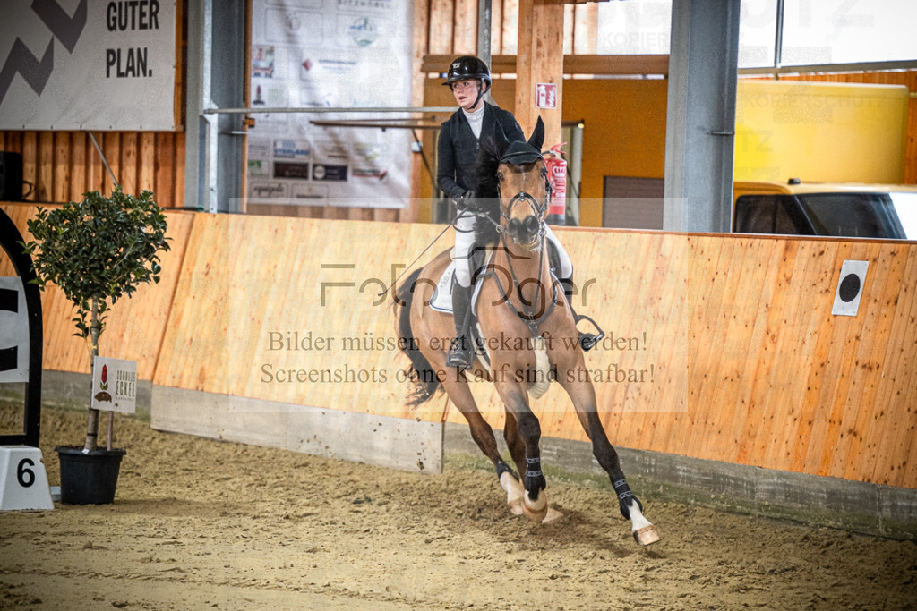 DOS_0837 | Entdecke hochwertige Reitturnierfotos von Foto Oger. Professionell, emotional und authentisch – jetzt Lieblingsmomente im Shop bestellen.Deutschlandweite Turnierfotografie. - Realisiert mit Pictrs.com
