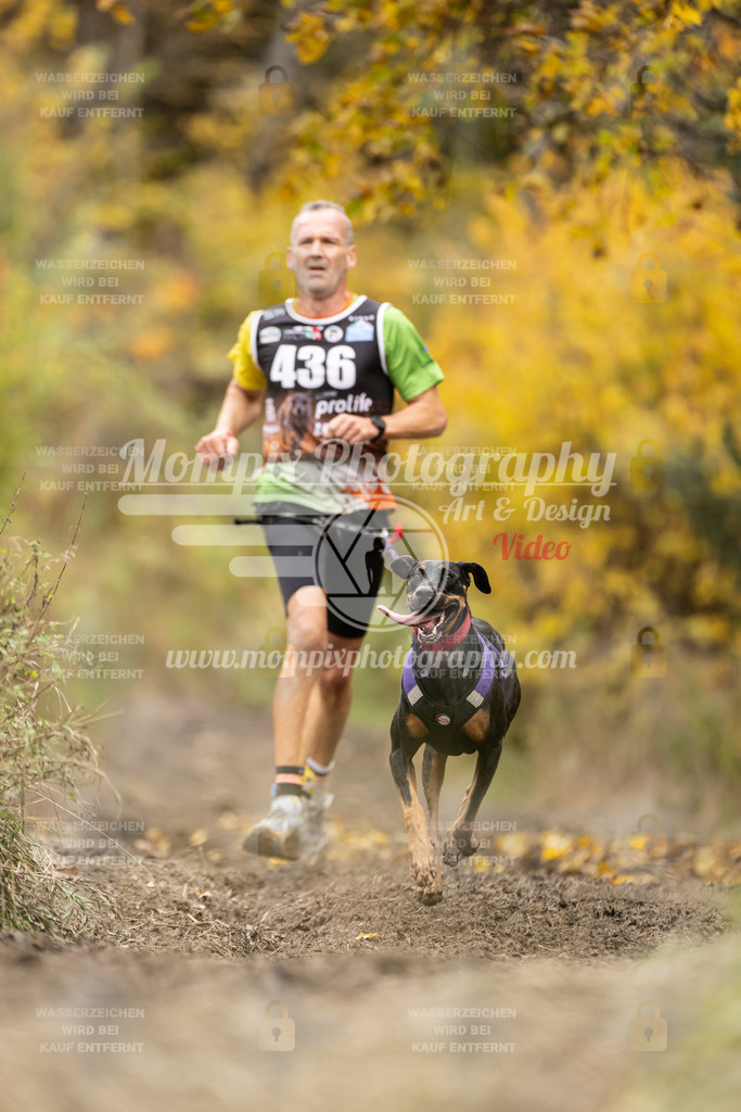MompixPhotography_ICF_WC_2024_SA_Run_-430 | PayLife
