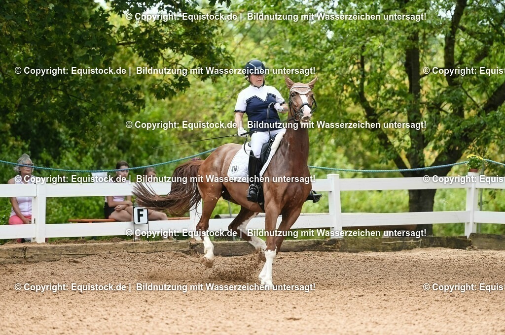 20230715_07_Dressurpferdeprfg. Kl.L_0028 | equistock