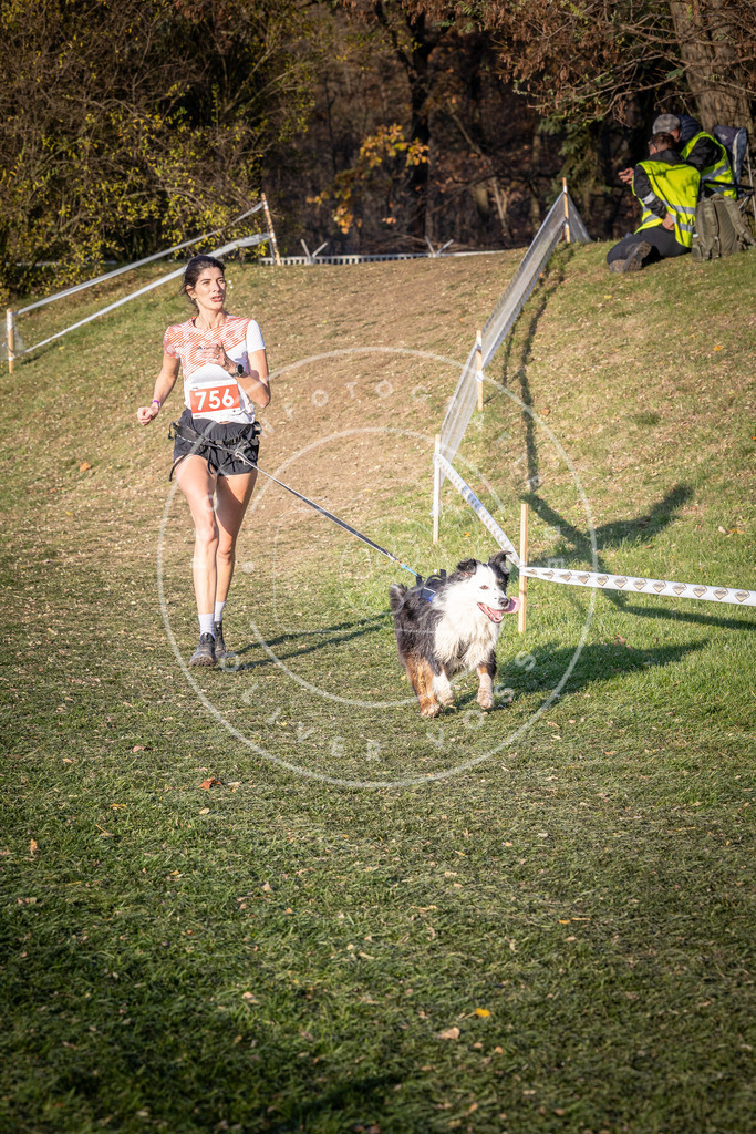 CaniXpix_0L8A9994 | Hundefotografie, Tierfotograf, Pfotenfotografie, Fotoshooting Hund, Hunde Portrait, Hundesport, Hundeportraits, Heideshooting, Hunde, Sportfotograf, Hundefotograf, Turnierhundsport, THS,  - Realisiert mit Pictrs.com