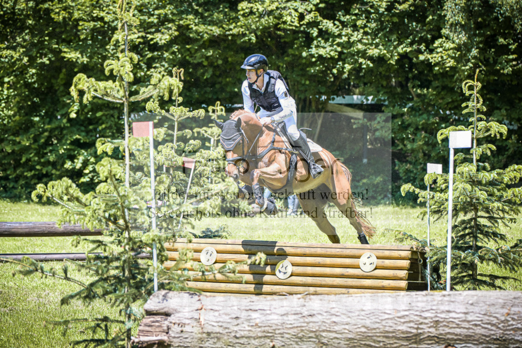 DOS_1678 | Entdecke hochwertige Reitturnierfotos von Foto Oger. Professionell, emotional und authentisch – jetzt Lieblingsmomente im Shop bestellen.Deutschlandweite Turnierfotografie. - Realisiert mit Pictrs.com