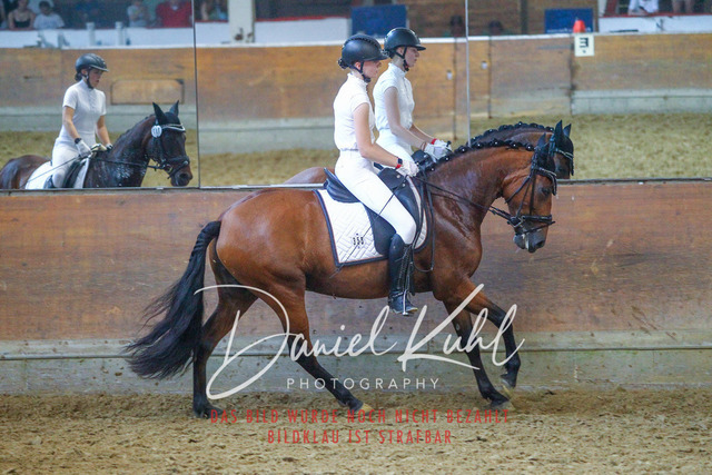 DKP44321 | Turniersportfotografie; Pferdefotografie; Dressurfotografie