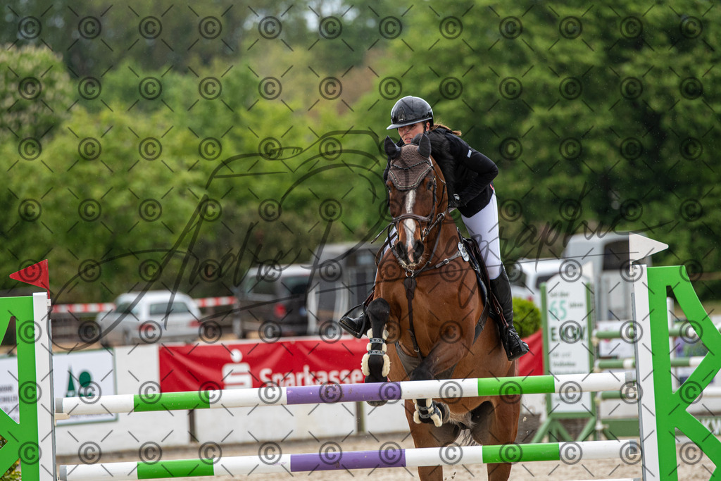 KPT_0141 | andre_photographic