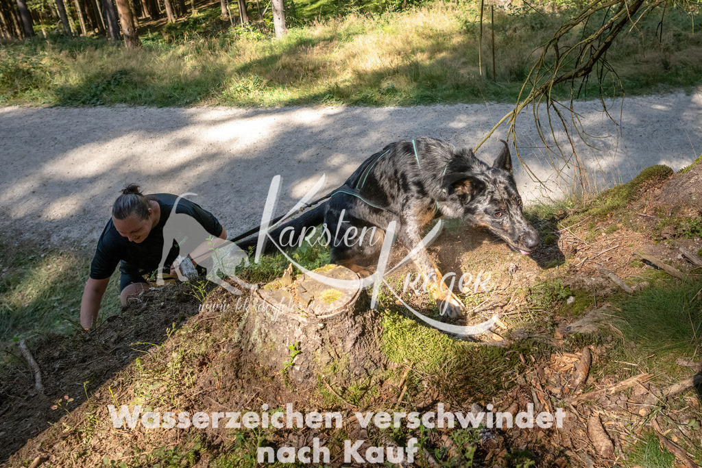 1241_ZZ90023 | kk-dogfotos