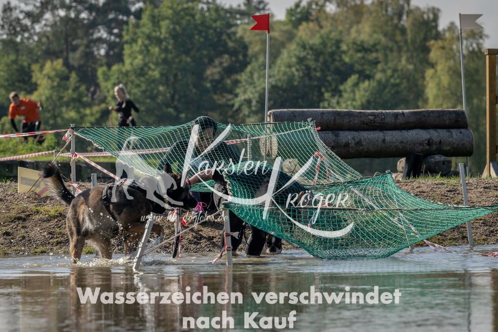 1415_ZZ91804 | kk-dogfotos