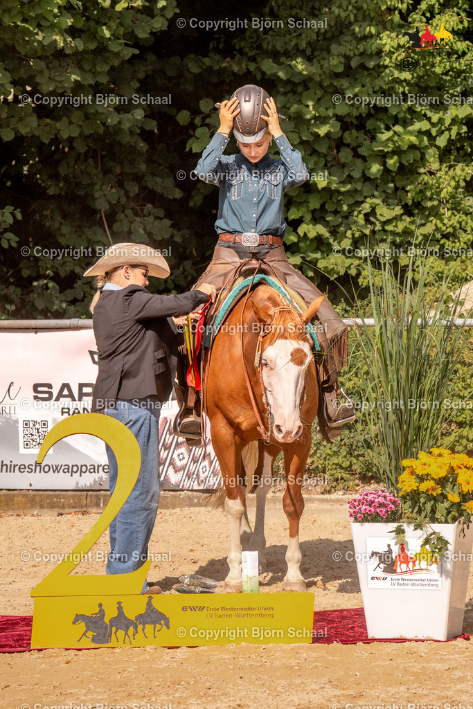 LMS08234 | BS-foto