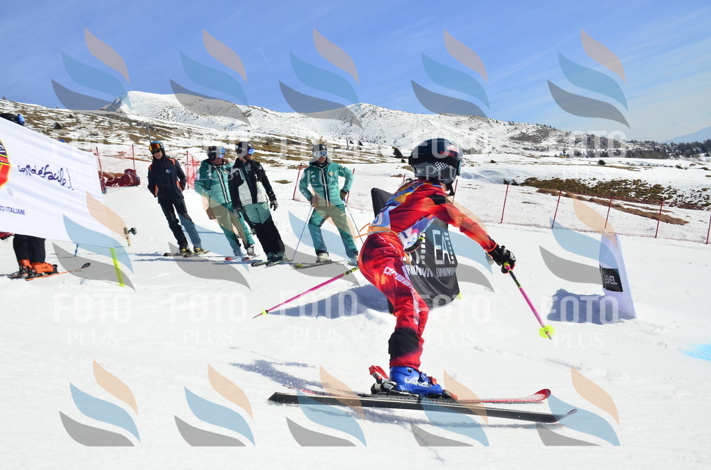 _ELE0595 | holidayphoto