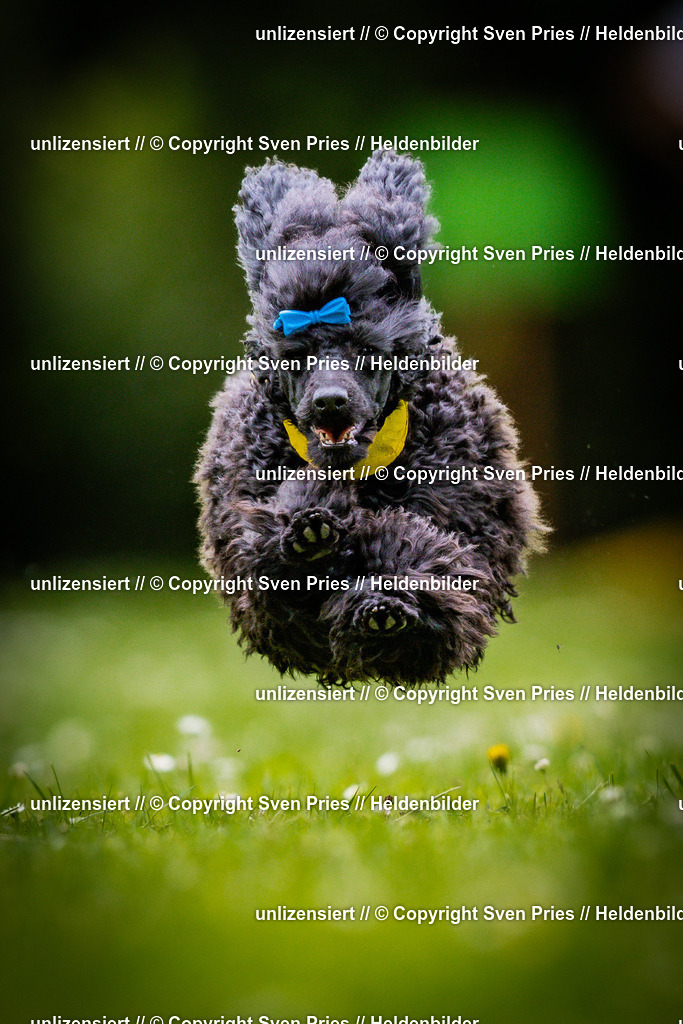 Sven Pries | 2025-05-29 - Pudelrennen KA-Durlach - Realisiert mit Pictrs.com