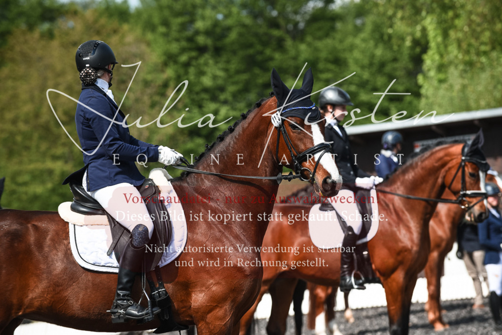 DSC_9079 | Pferde- und Turnierfotografie in Westsachsen. Pferdeportraits, Auftragszeichnungen und intuitive Kunst.