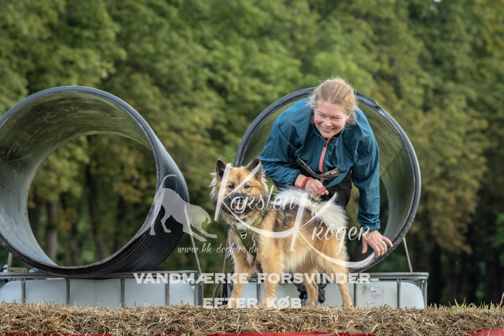 1053_ZZ93394 | kk-dogfotos