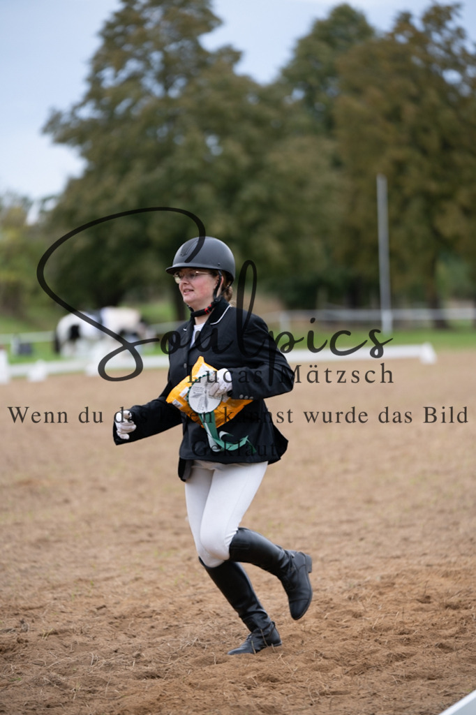 A7V05118 | Pferdefotograf