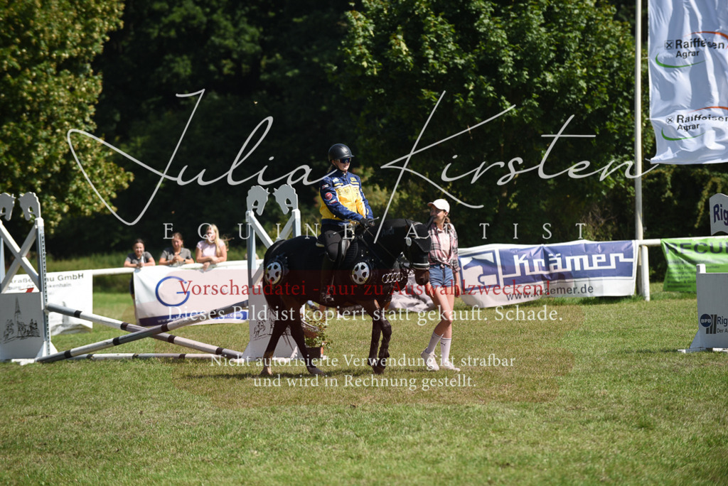 DSC_0388 | Pferde- und Turnierfotografie in Westsachsen. Pferdeportraits, Auftragszeichnungen und intuitive Kunst.