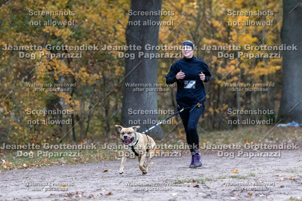 Dog Paparazzi - SD CaniX Championship 2025-352 | Dog Paparazzi Jeanette Grottendiek Fotografie & Videografie - Realisiert mit Pictrs.com