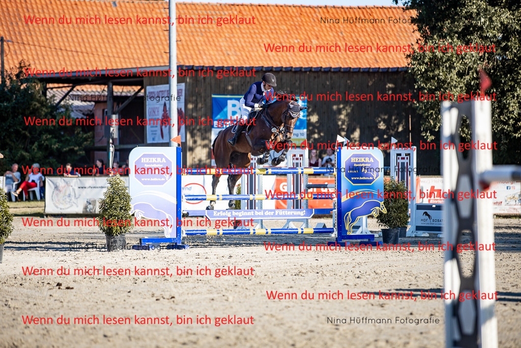 BK1A8356 | Turnierbilder Turnierfotos Nina Hüffmann Turnierfotografie Pferdefotografie Tierzeichnung Haustierzeichnung Pferdezeichnung Hundezeichnung Videograf  - Realisiert mit Pictrs.com