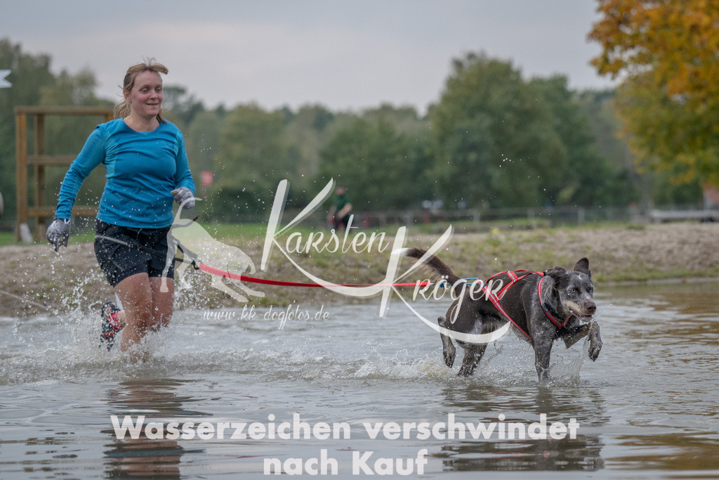 1504_ZZ92949 | kk-dogfotos