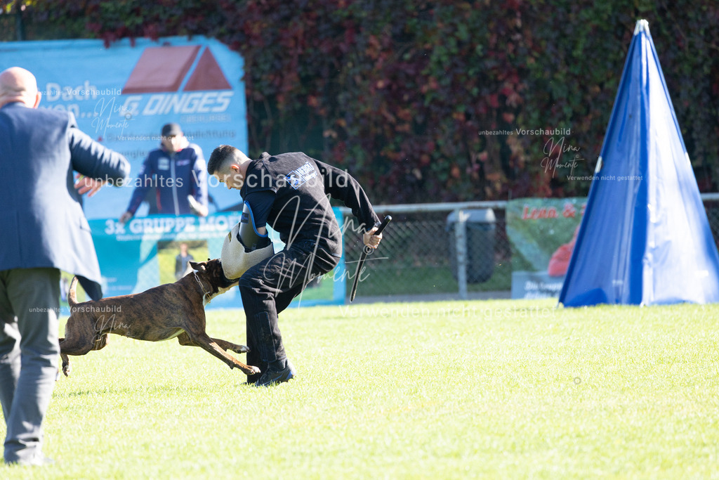 _16A5031 | Einzigartige Fotos von Hunden & Menschen –Actionfotos, Portraits, Vereinsaufnahmen & Paarshootings – authentisch, lebendig & mit Herz.