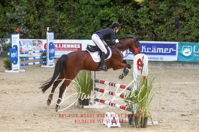 DKP42728 | Turniersportfotografie; Pferdefotografie; Dressurfotografie