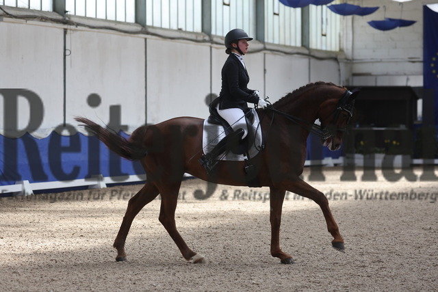 Pforzheim_2024_Prfg.Nr.12_Dressurreiterprfg.Kl.M_Nürnberger-Burgpokal_Antonia Kronmüller_Donnia (11) | Alle Fotos der Reiterjournal Fotografin Doris Matthaes im Reiterjournal Online-Fotoshop. - Realisiert mit Pictrs.com